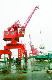 春耕農資產品優先入港，起重設備高效助力農業生產